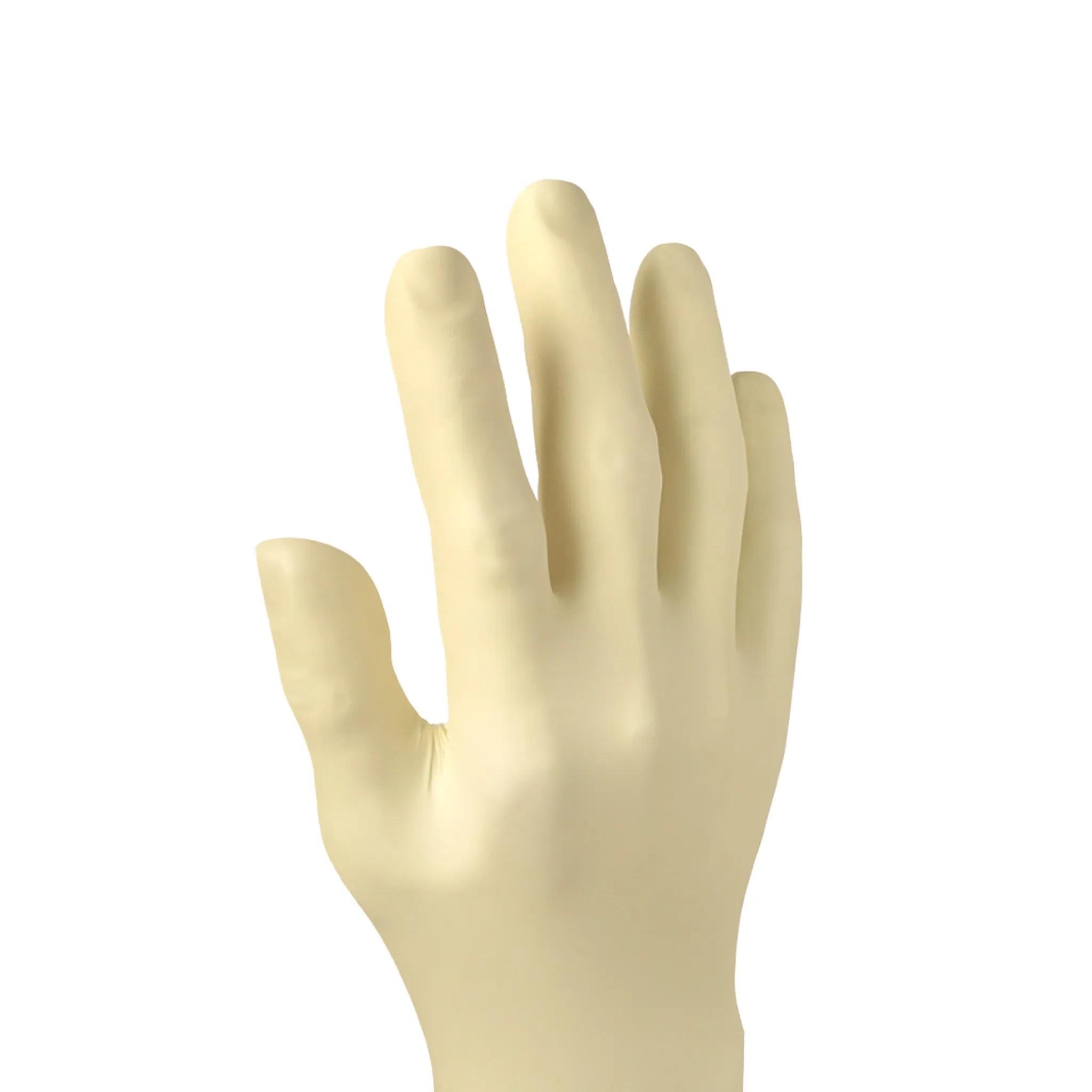 Aurelia® Vibrant Latex Disposable Gloves