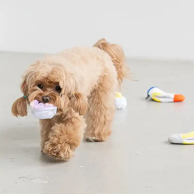 Socks "Nose Work" Interactive Doy Toy